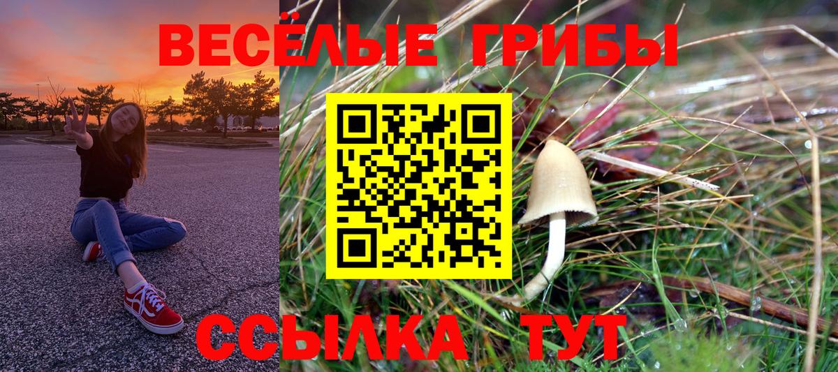 Псилоцибиновые грибы мицелий  Вход с VPN  Ефремов  Галлюциногенные грибы мухоморы 