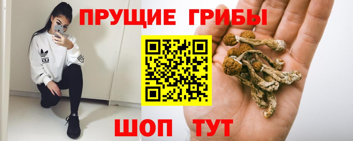 Галлюциногенные грибы прущие грибы Ефремов